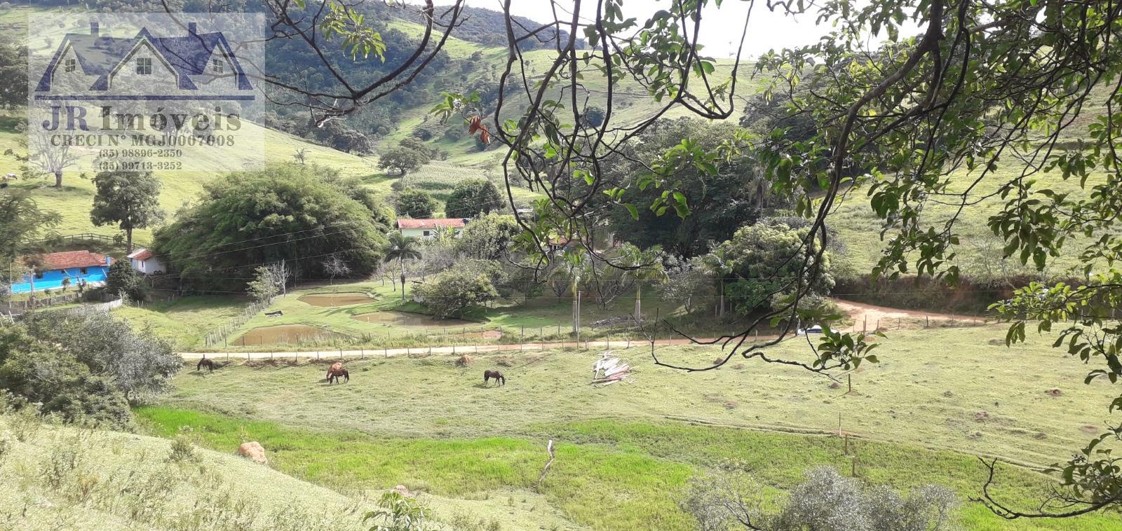 Terreno à venda com 10875m² de terreno no Teodoros, Brazópolis (MG) — foto 11 de 12
