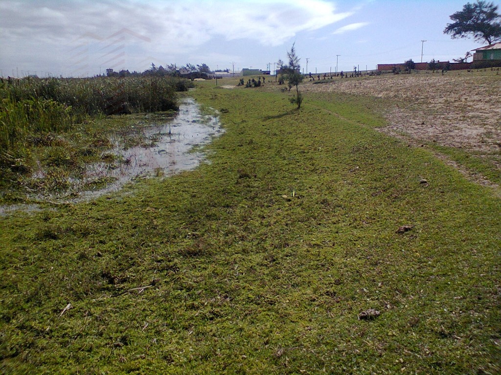 Terreno à venda com 3043m² de terreno no Açu, São João da Barra (RJ) — foto 8 de 12