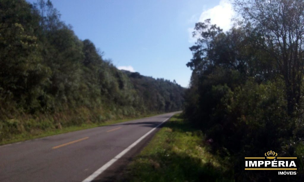 Foto 05
