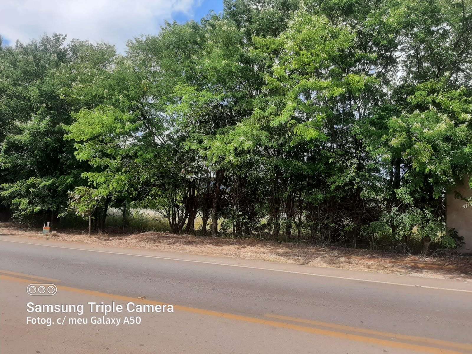 Rural à venda com 2500m² de terreno no Planaltina, Brasília (DF) — foto 2 de 7