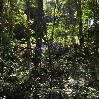 Terreno à venda com 3500m² de terreno no Pedra Preta, Itajubá (MG) — foto 6 de 7