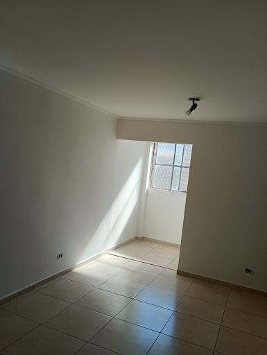 Apartamento em Cambuci  -  São Paulo