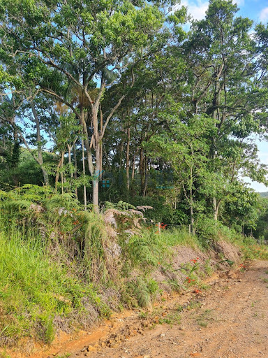 Área em Forquilhas  -  São José