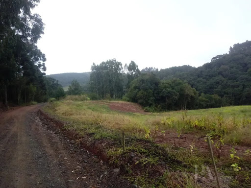 Lote / Terreno em Campo Alegre  -  Campo Alegre