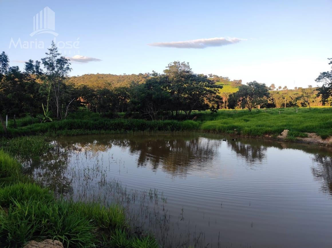 Rural à venda com 200000m² de terreno no Zona Rural de Santana do Pirapama, Santana de Pirapama (MG) — foto 11 de 24