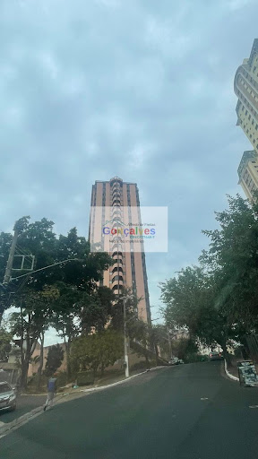 Apartamento em Cambuci  -  São Paulo