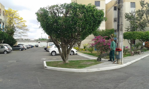 Apartamento com 3 dormitórios, 55 m² - venda por R$ 123.000,00 ou aluguel por R$ 1.182,64/mês - Parque Califórnia - Campos dos Goytacazes/RJ