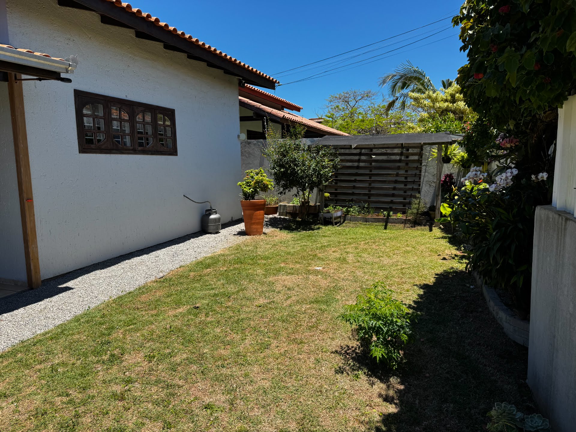 Patio frontal