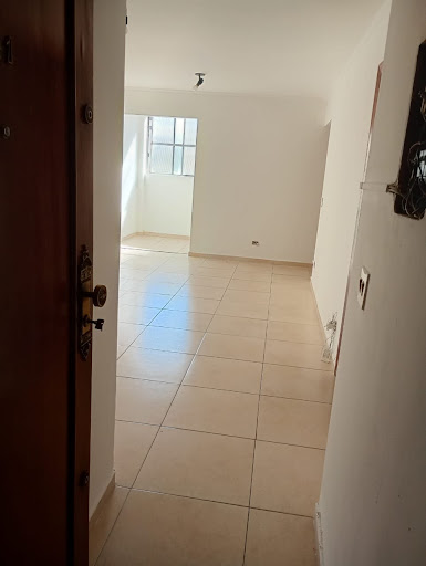 Apartamento em Cambuci  -  São Paulo