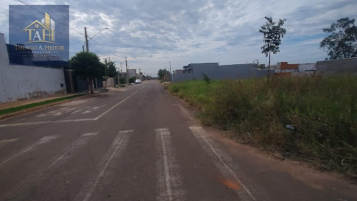 no asfalto