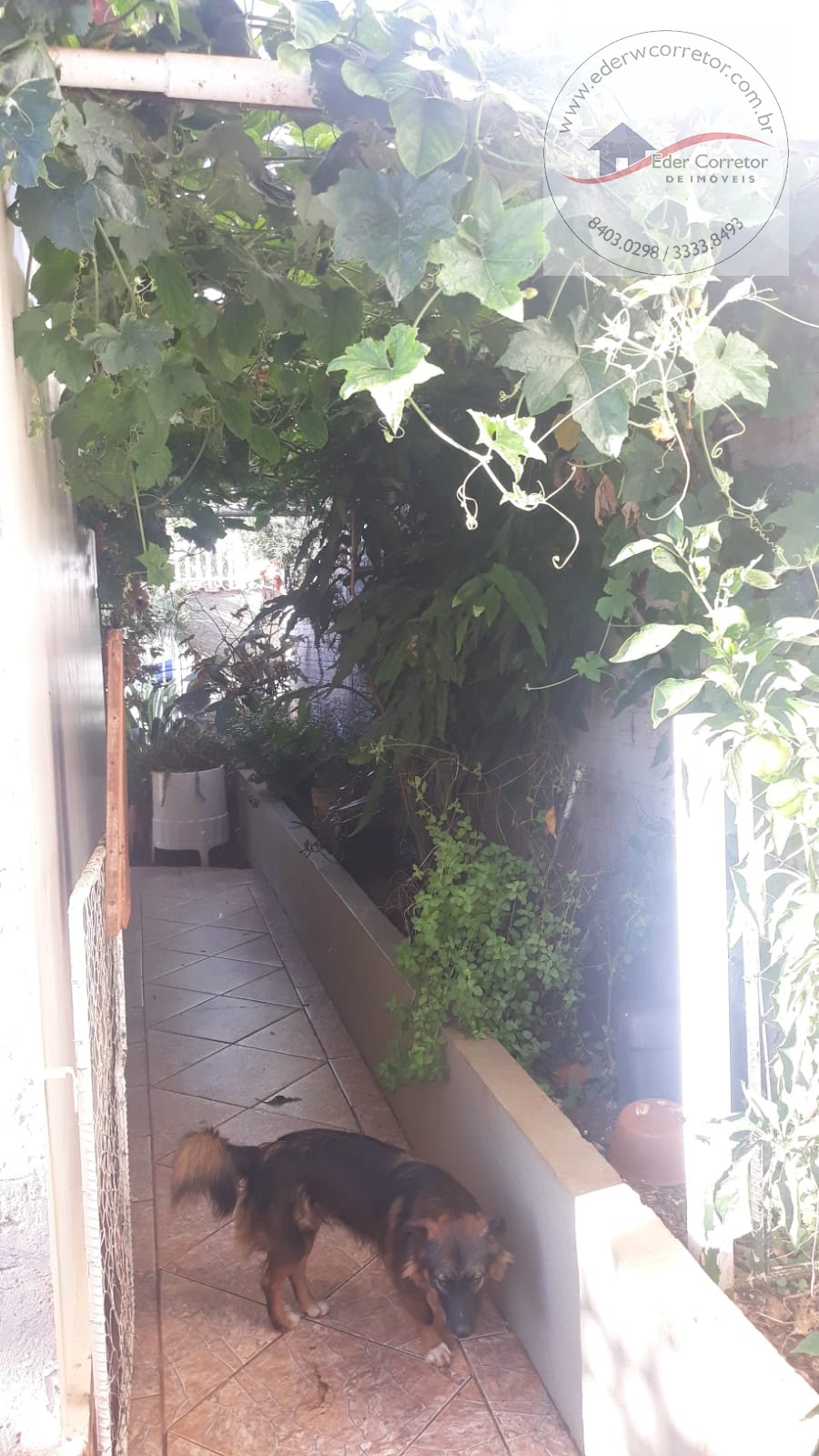 Casa à venda com 2 quartos, 2 banheiros, 1 vaga e 118m² no Luiz Fogliato, Ijuí (RS) — foto 7 de 30