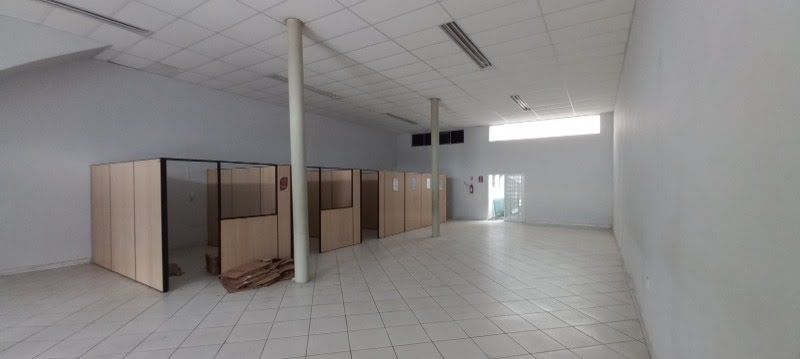 Foto 01