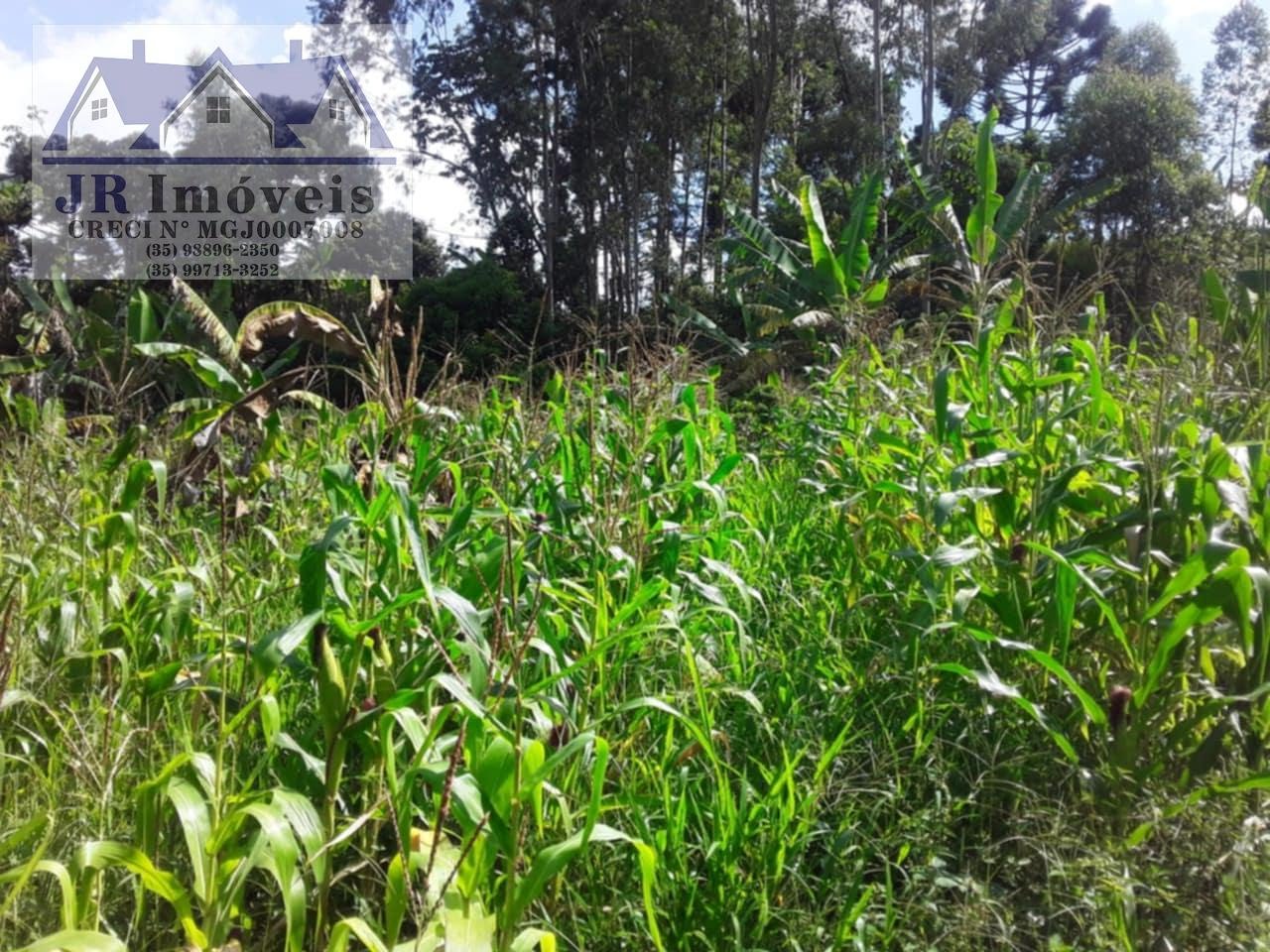 Rural à venda com 30000m² de terreno no Resende, Pedralva (MG) — foto 2 de 21