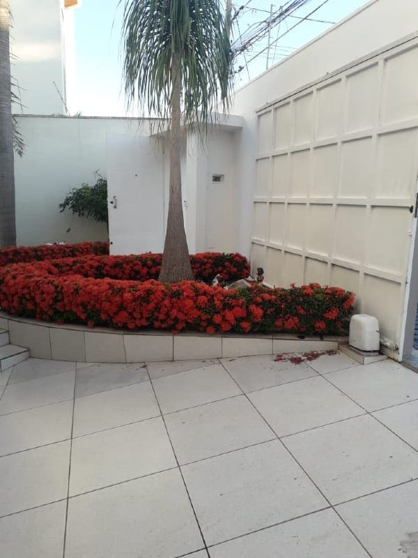 sobrado-a-venda-3-quartos-1-suite-5-vagas-morada-d