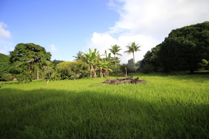 Casa à venda com 10000m² no Guabiraba, Recife (PE) — foto 13 de 23