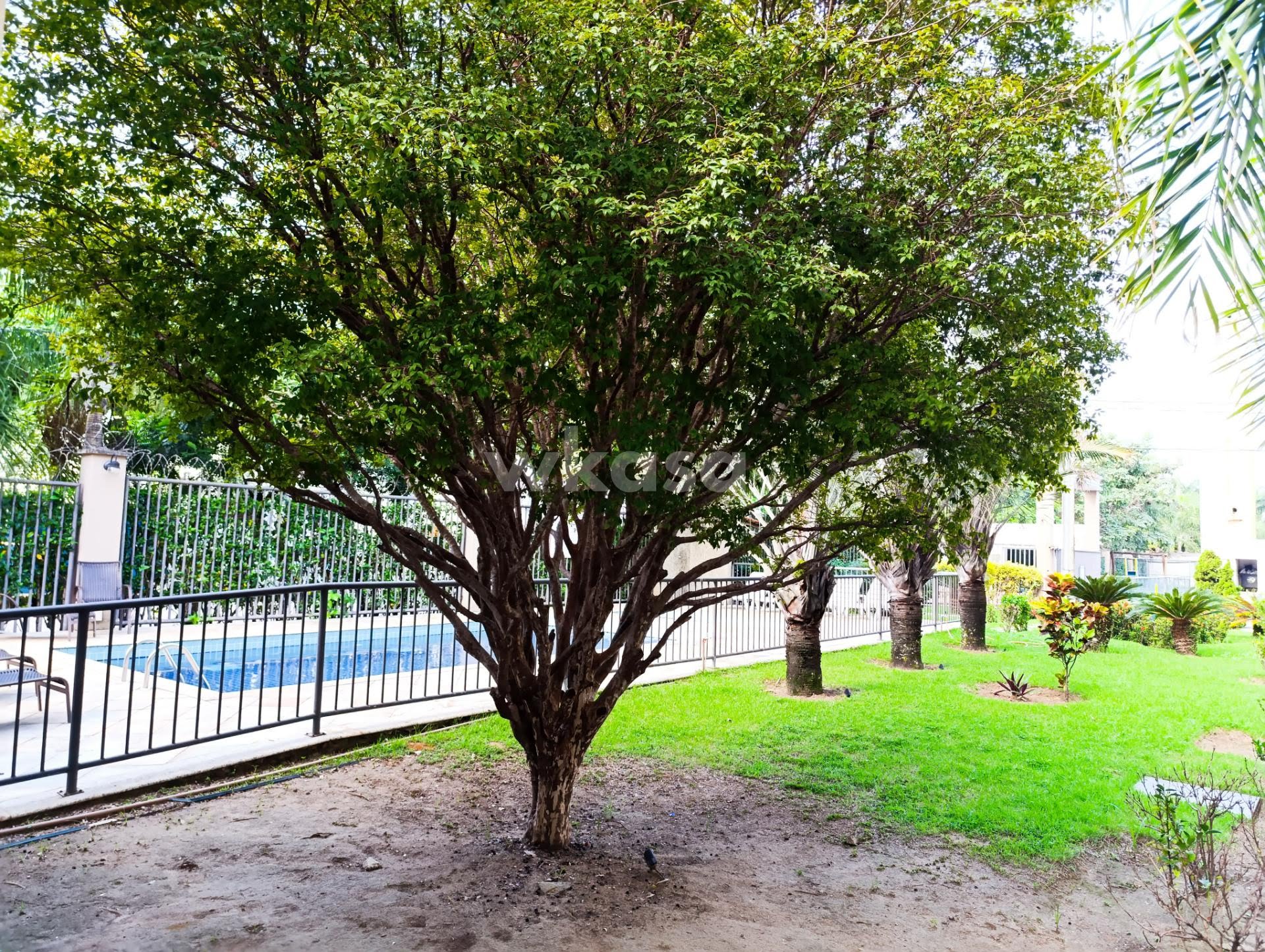Apartamento à venda com 2 quartos, 1 suíte, 1 vaga e 48m² no Colina de Laranjeiras, Serra (ES) — foto 3 de 10