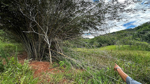 Terreno à venda em Santa Cruz - Periquito por R$ 850 mil