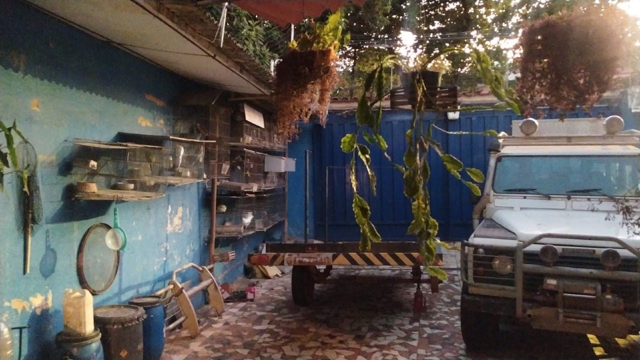 Casa à venda com 3 quartos, 1 banheiro, 3 vagas e 275m² no Santa Branca, Belo Horizonte (MG) — foto 7 de 22