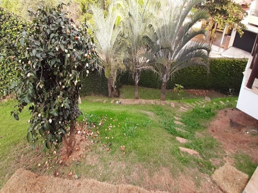 Foto 08