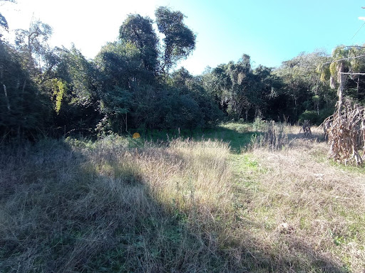 Sítio / Chácara SEM CASA em Garibaldi / RS - Linha São Jorge