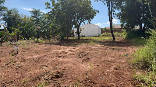 Terreno com Excelente localização 
