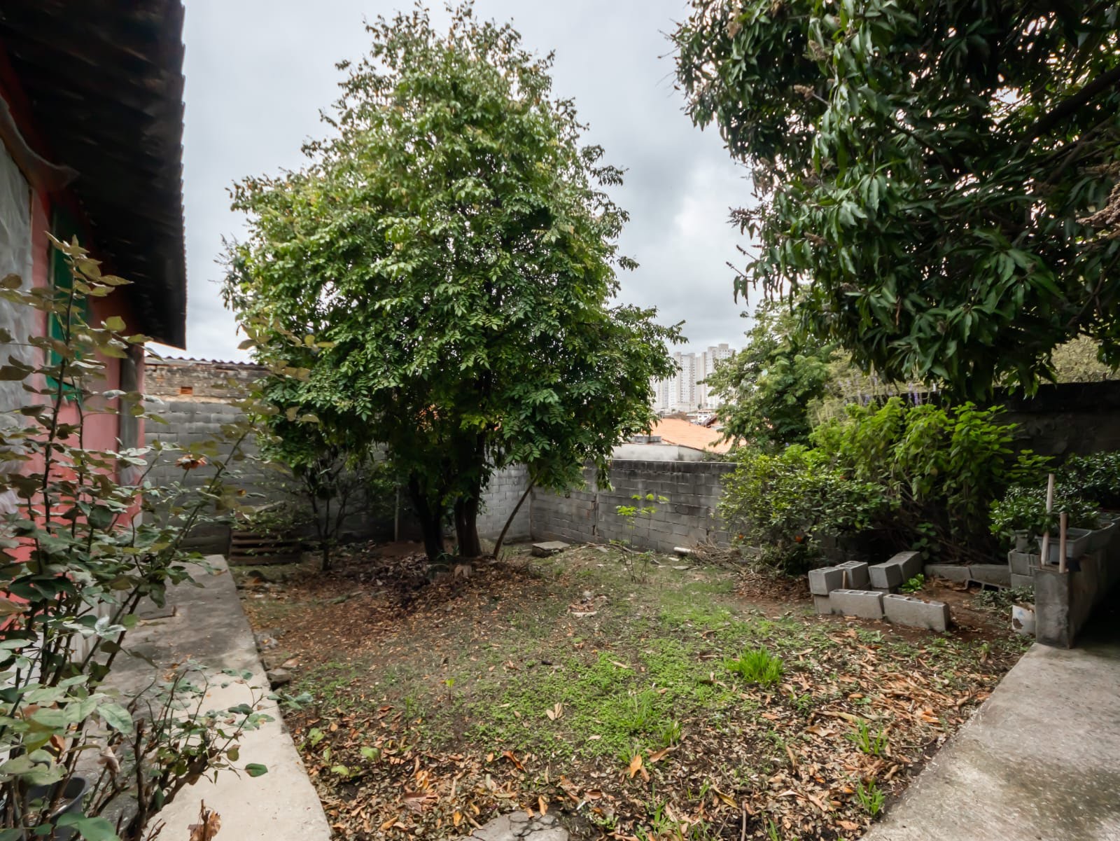 Casa à venda com 2 quartos, 1 banheiro, 1 vaga e 312m² no Jardim Santa Mônica, São Paulo (SP) — foto 23 de 26