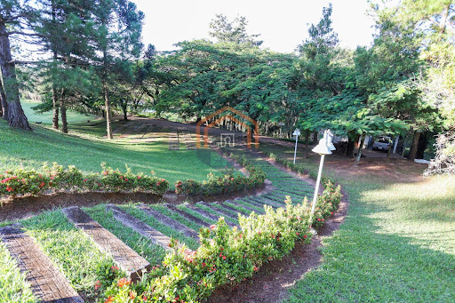 SÍTIO PINHEIRO - LOUVEIRA