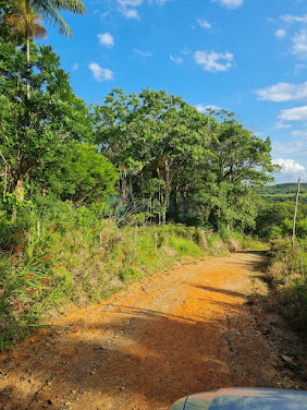 Área em Forquilhas  -  São José