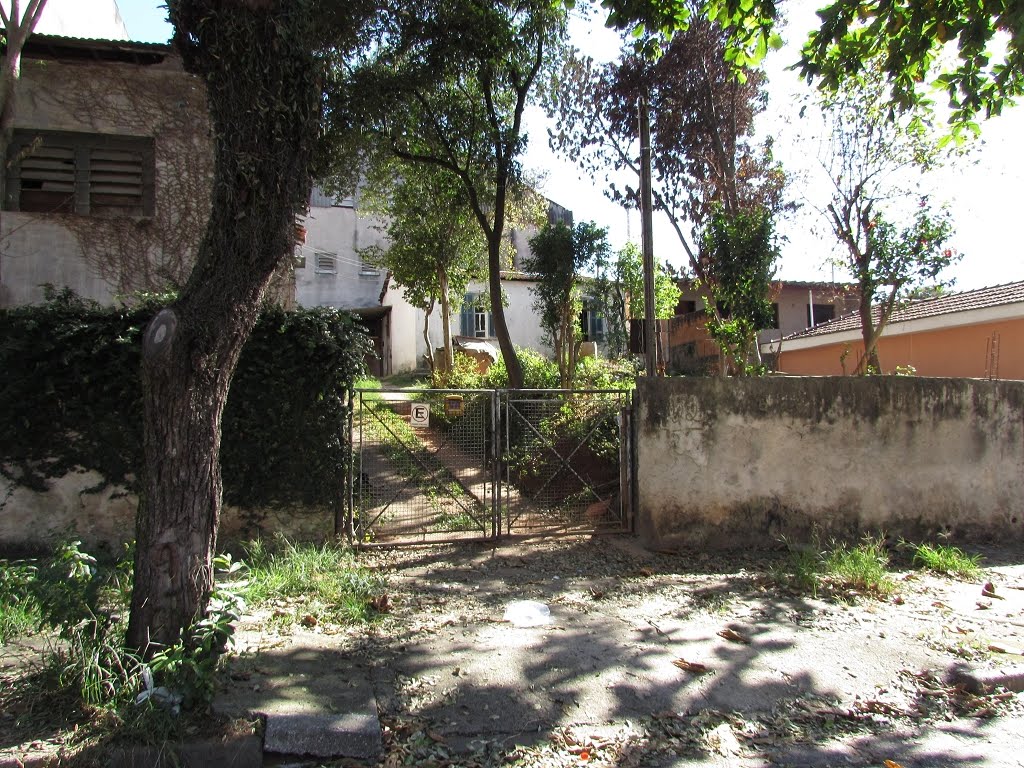 Terreno praticamente plano