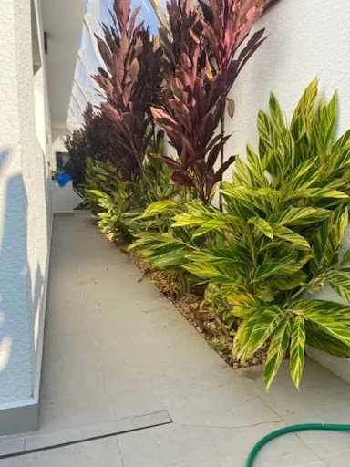 Foto 17