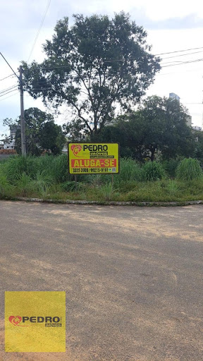 LOTE em Graciosa - Orla 14  -  Palmas