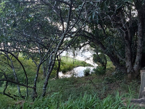 Umidade garantida