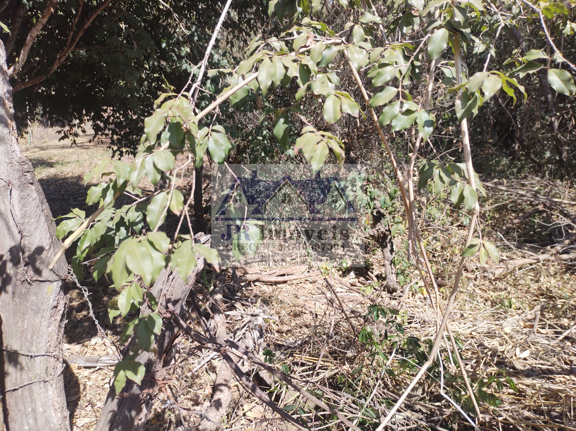 Terreno à venda com 5686m² de terreno no Santa Barbara, Piranguinho (MG) — foto 2 de 17