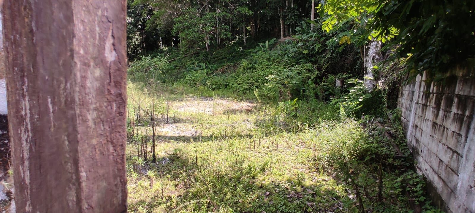 Terreno à venda com 1100m² de terreno no Tenório (praia Vermelha), Ubatuba (SP) — foto 3 de 7