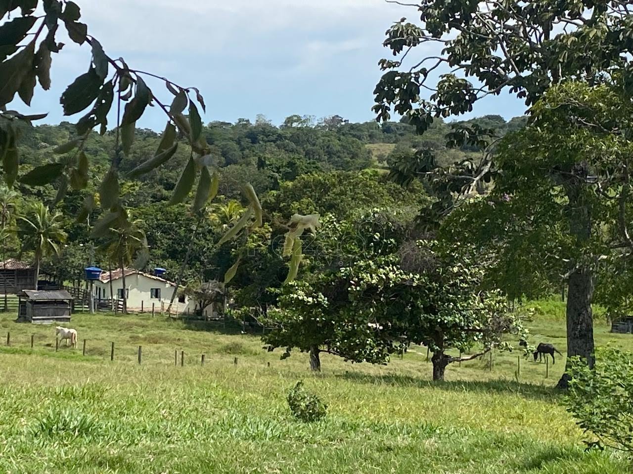 Rural à venda no Zona Rural, Itapuranga (GO) — foto 11 de 18