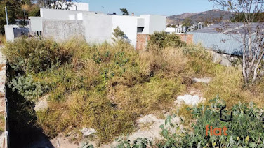 Lote / Terreno no bairro Castelo Branco  -  Pará de Minas