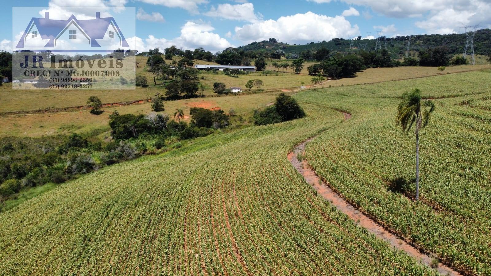 Rural à venda no Bairro Floresta, Piranguinho (MG) — foto 5 de 11