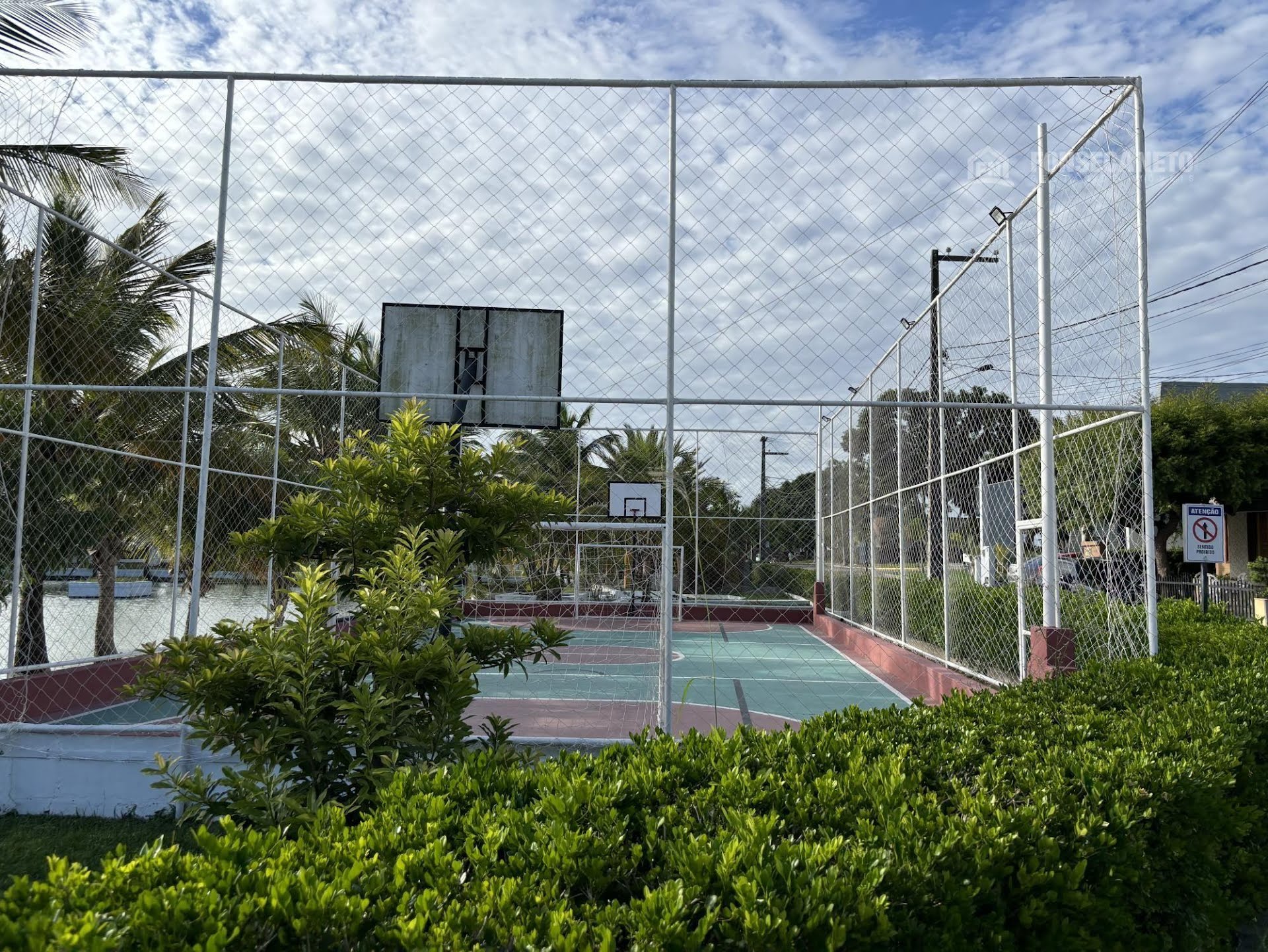 IMG_8652.jpeg