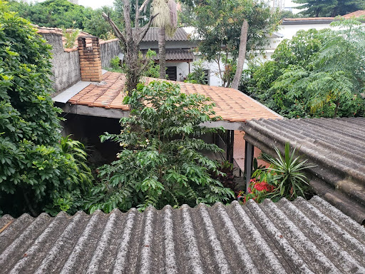 Foto 04