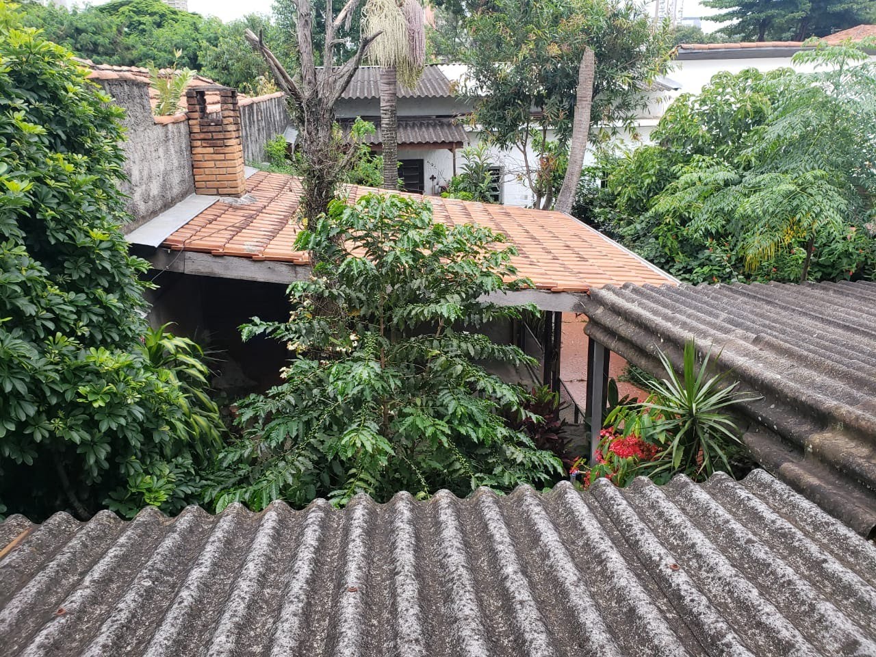 Foto 04