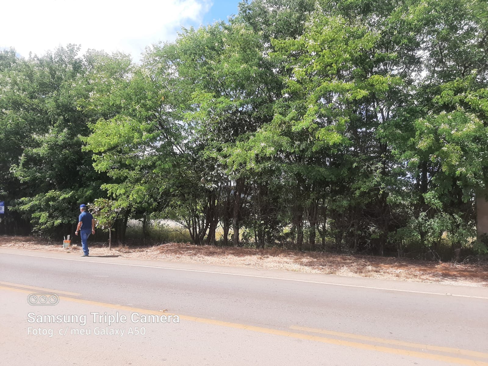 Rural à venda com 2500m² de terreno no Planaltina, Brasília (DF) — foto 3 de 7