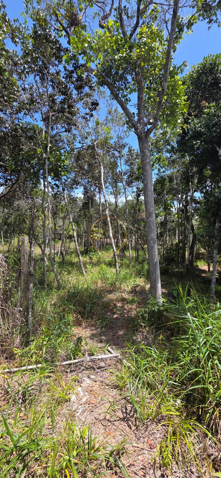 Terreno à venda com 400m² de terreno no Alto de Pitinga, Porto Seguro (BA) — foto 4 de 12