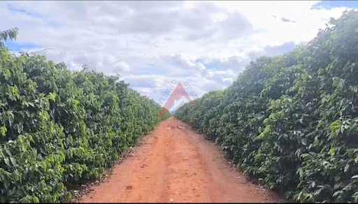 Fazenda em Coqueiros  -  Belo Horizonte