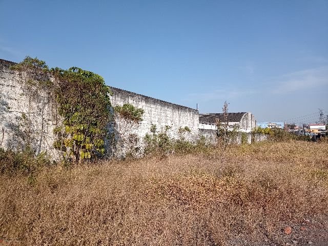 Foto 08