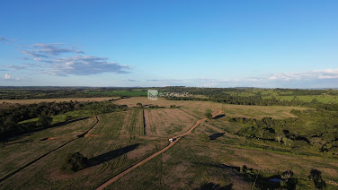 Fazenda em Zona Rural  -  Catalão