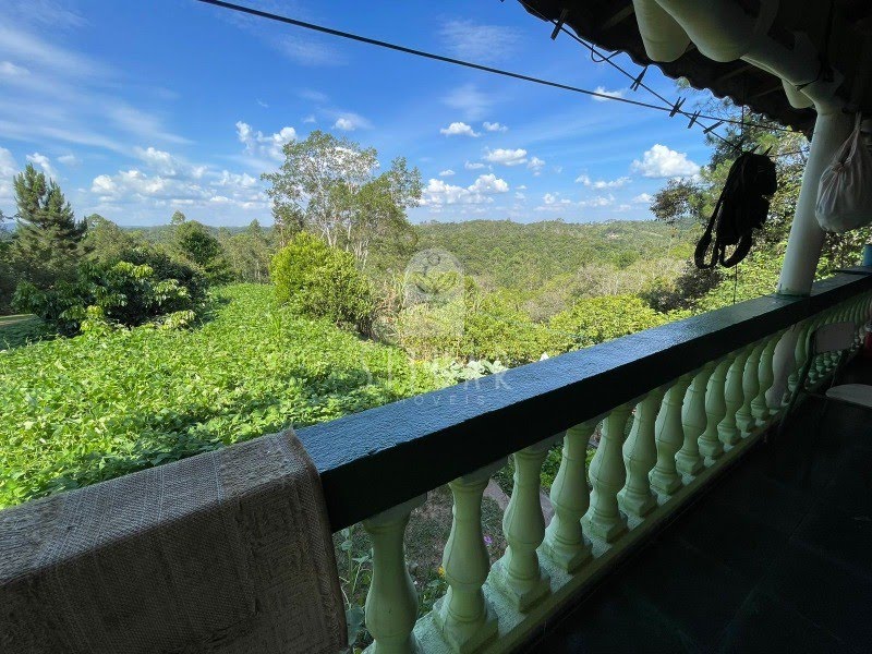Foto 02