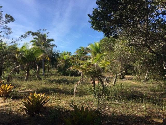 Terreno à venda com 210000m² de terreno no Trancoso, Porto Seguro (BA) — foto 10 de 18