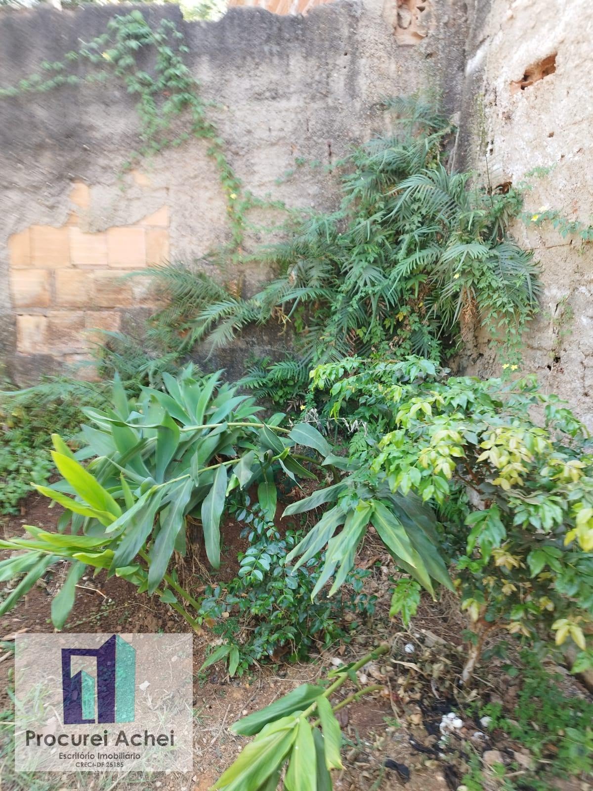 Rural à venda com 40000m² de terreno no Núcleo Rural Rajadinha, Brasilia - Df, Brasília (DF) — foto 21 de 23