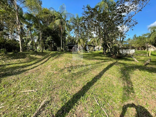 Foto 08