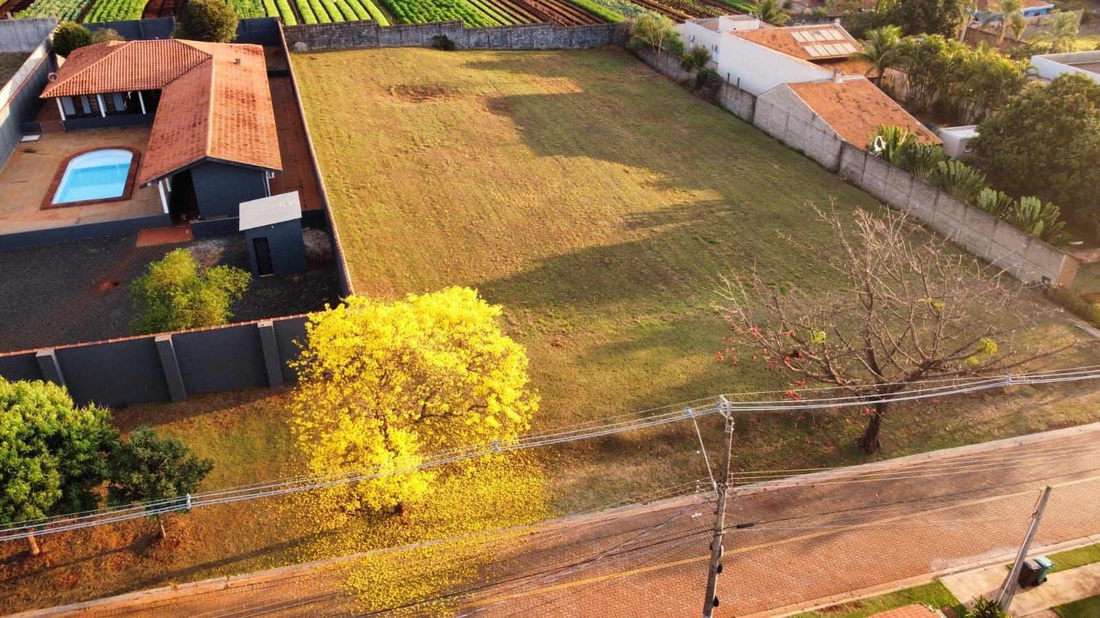 Terreno à venda com 1569m² de terreno no Real Sul, Ribeirão Preto (SP) — foto 2 de 22